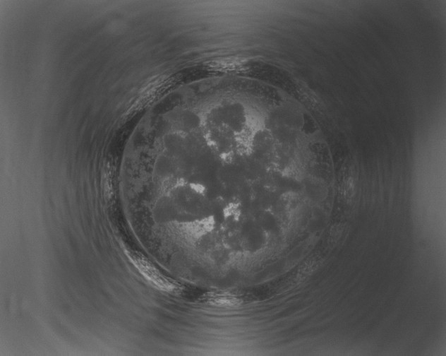 X0000085810658200703161157