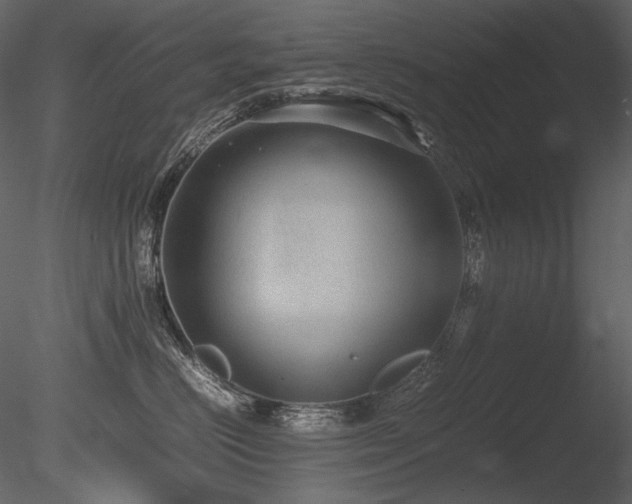 X0000085810670200703161157