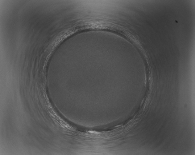 X0000085810673200703161156