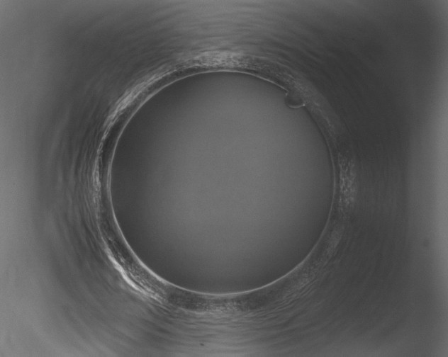 X0000085810674200703161156