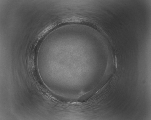 X0000085810675200703161156