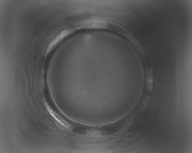 X0000085810677200703161156