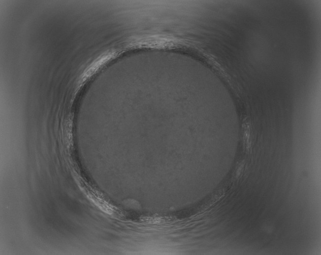 X0000085810679200703161156