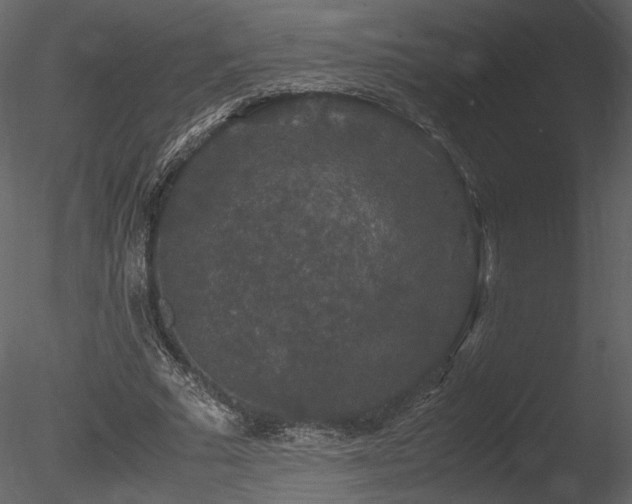 X0000085810681200703161156