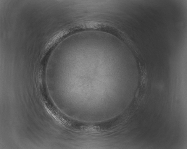 X0000085810683200703161156