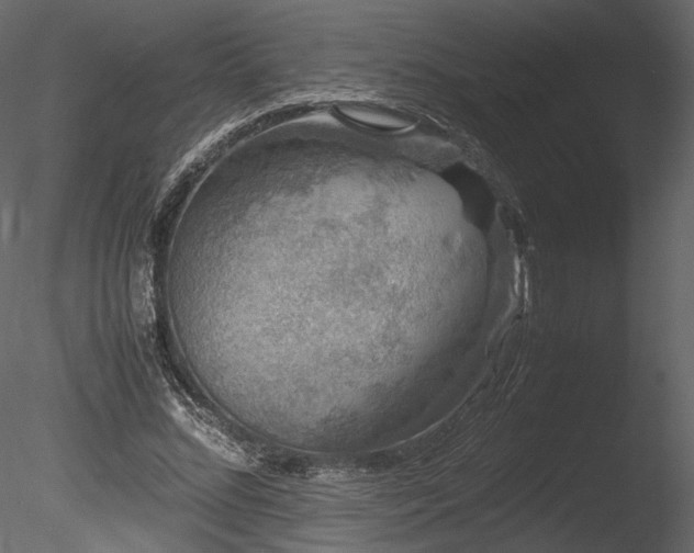 X0000085810684200703161156