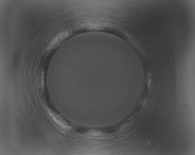 X0000085810685200703161156