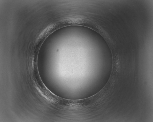 X0000085810686200703161156