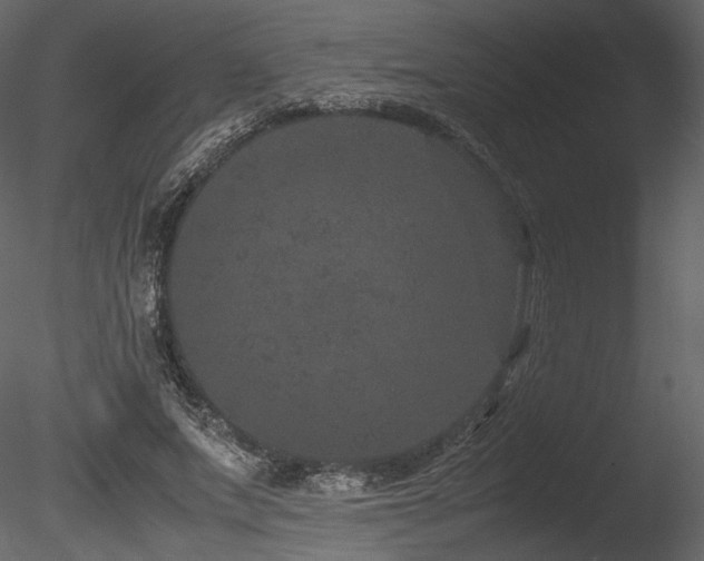 X0000085810687200703161156