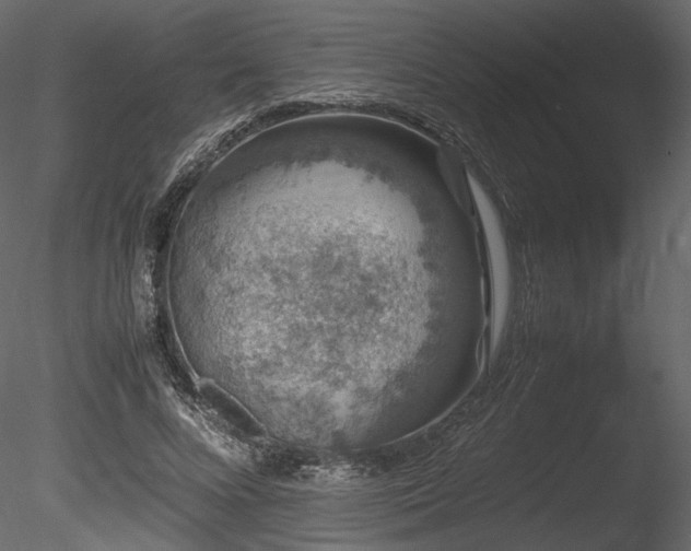 X0000085810688200703161156