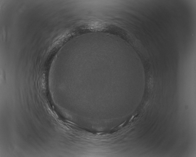 X0000085810689200703161156