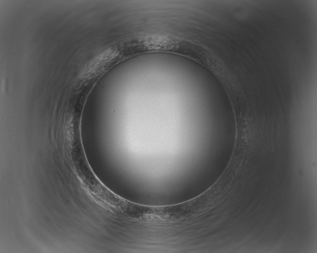 X0000085810690200703161156