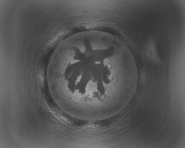 X0000085810691200703161156