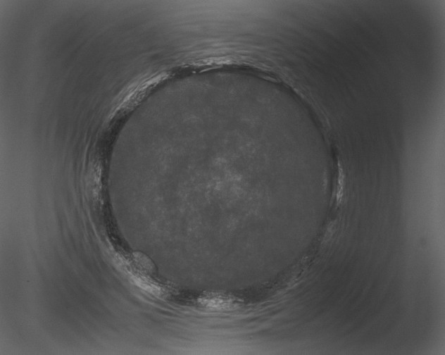 X0000085810693200703161156