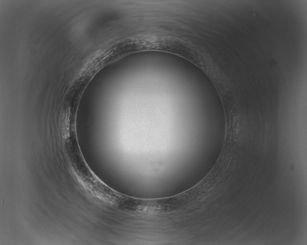 X0000085810694200703161156