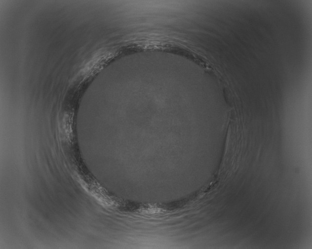 X0000085810695200703161156