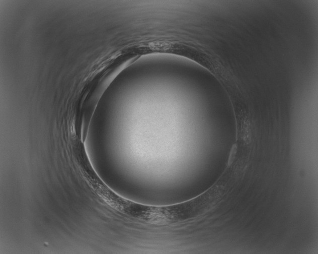 X0000085810697200703161156