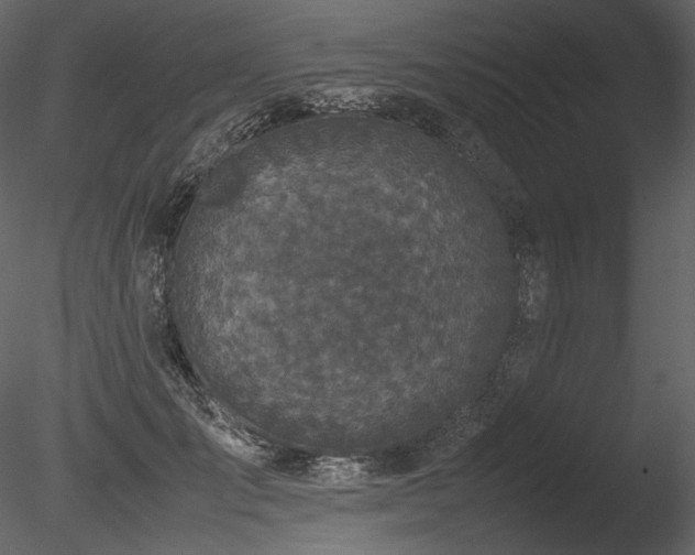 X0000085810701200703161156