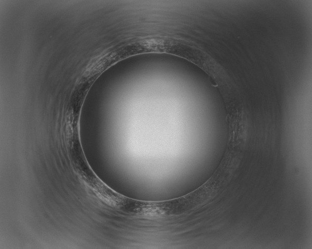 X0000085810702200703161155