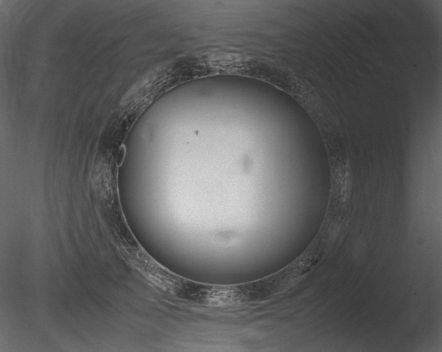 X0000085810705200703161155