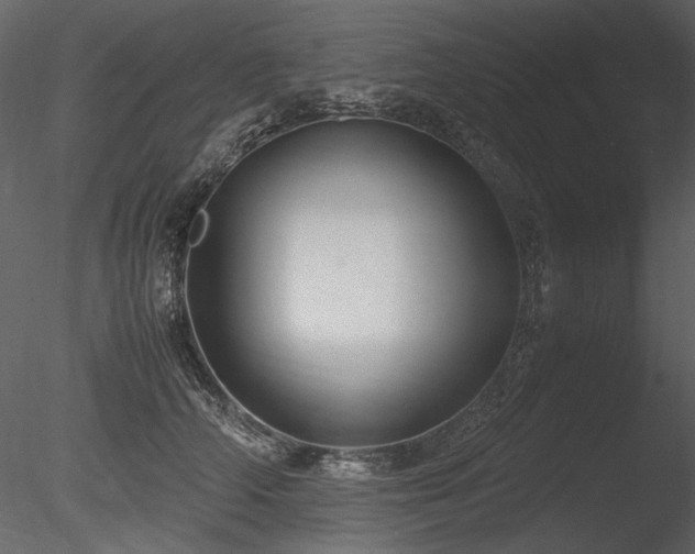 X0000085810706200703161155