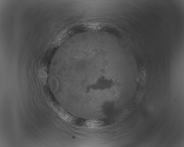 X0000085810707200703161155