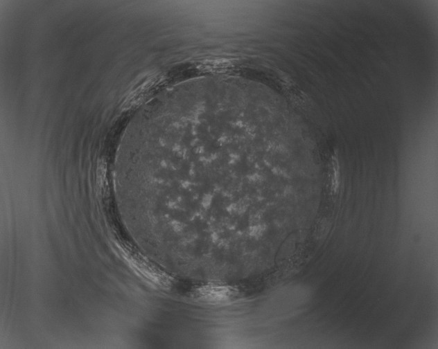 X0000085810711200703161155