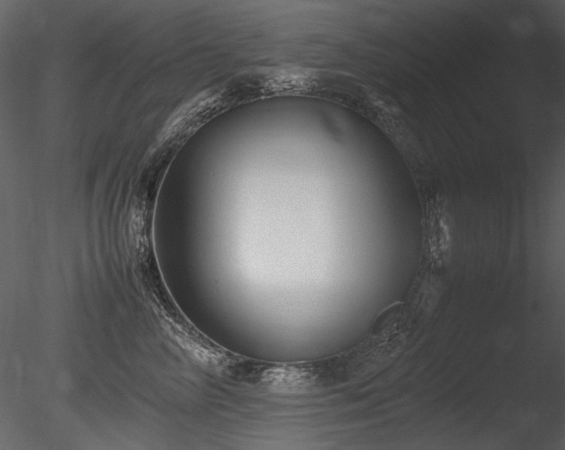 X0000085810714200703161155