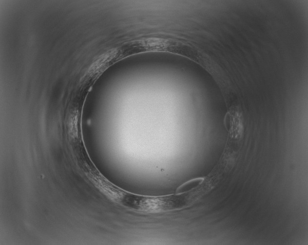 X0000085810717200703161155