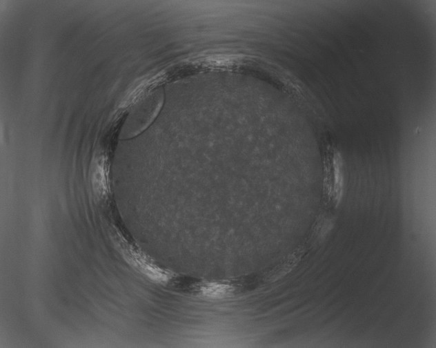 X0000085810718200703161155