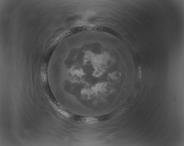 X0000085810719200703161155