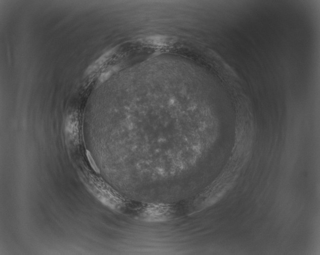 X0000085810720200703161155