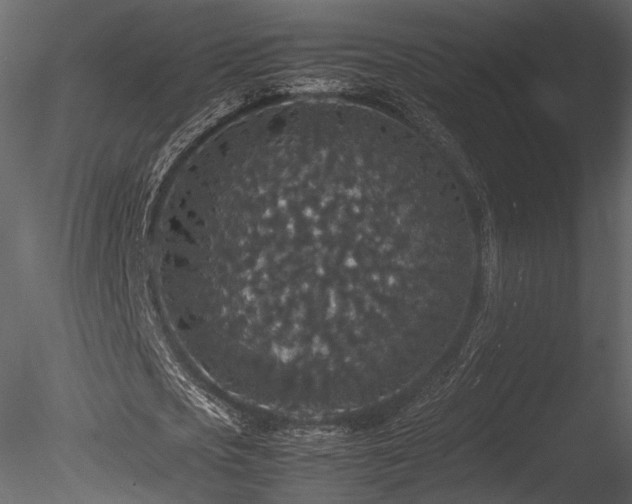 X0000085810721200703161154