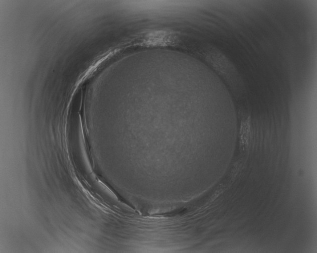 X0000085810722200703161154