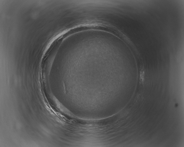 X0000085810724200703161154