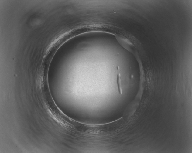 X0000085810728200703161154