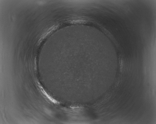 X0000085810729200703161154