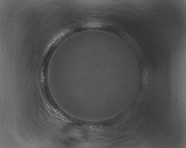 X0000085810731200703161155