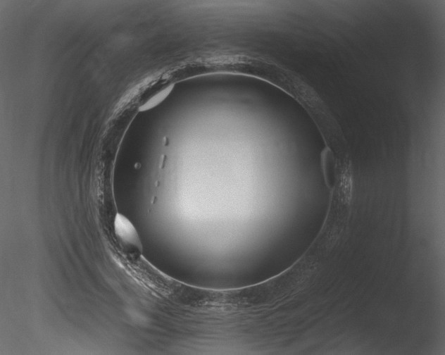 X0000085810732200703161155