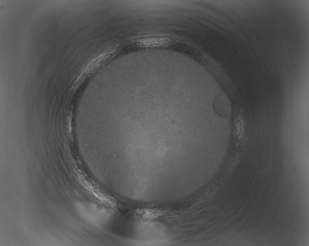 X0000085810733200703161155