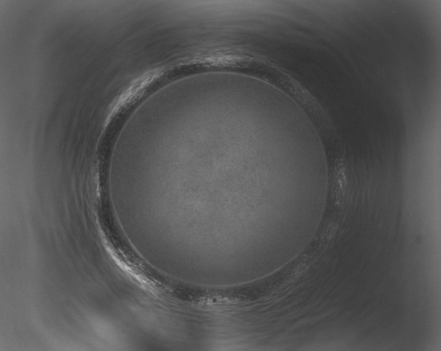 X0000085810734200703161155