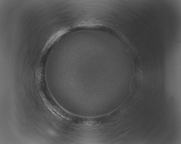 X0000085810736200703161155