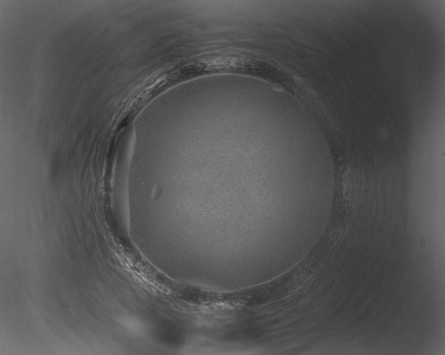 X0000085810737200703161155