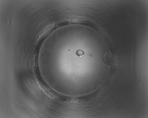 X0000085810738200703161155