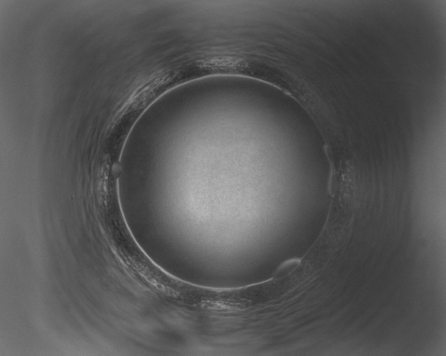 X0000085810739200703161155