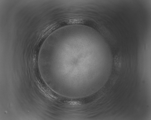 X0000085810741200703161155