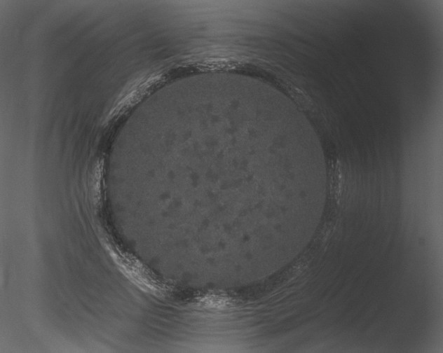 X0000085810742200703161155