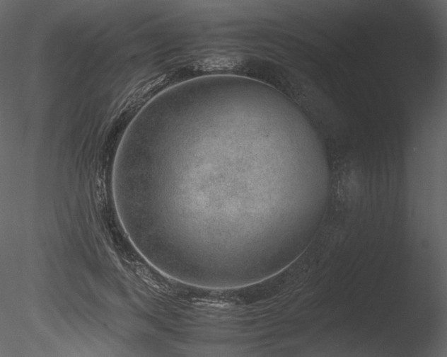 X0000085810743200703161155