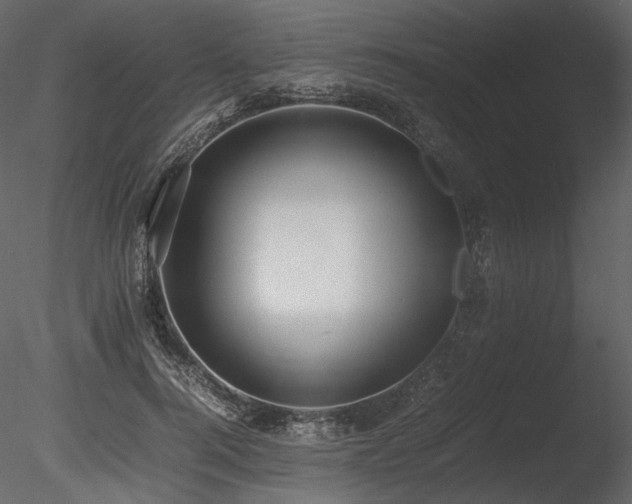 X0000085810744200703161155