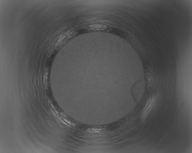 X0000085810745200703161155